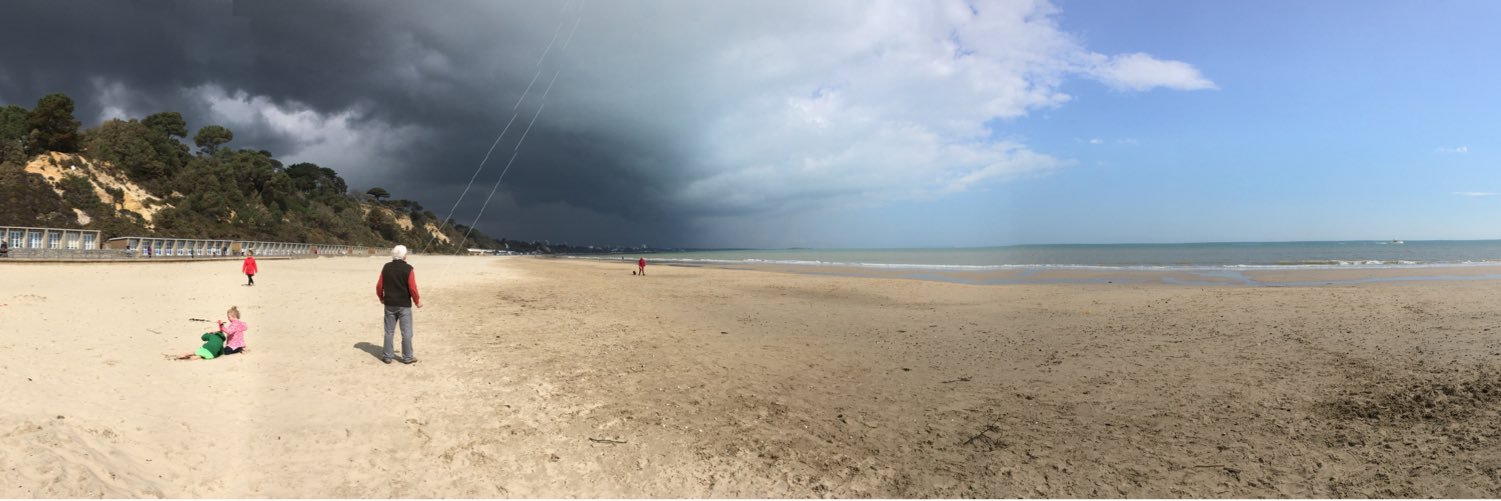 Stuart Johnson banner