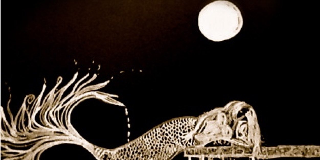 lepetitepoisson's profile banner image
