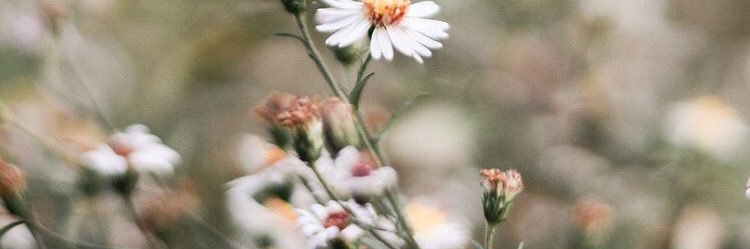 karebeeee's profile banner image