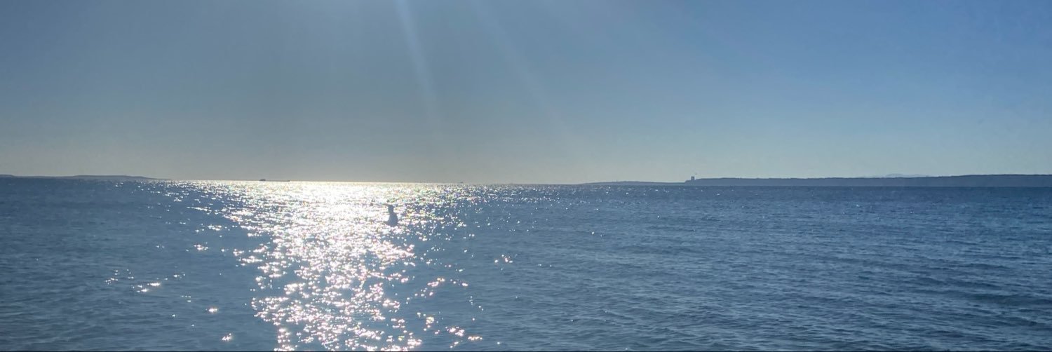 Defnecoye's profile banner image