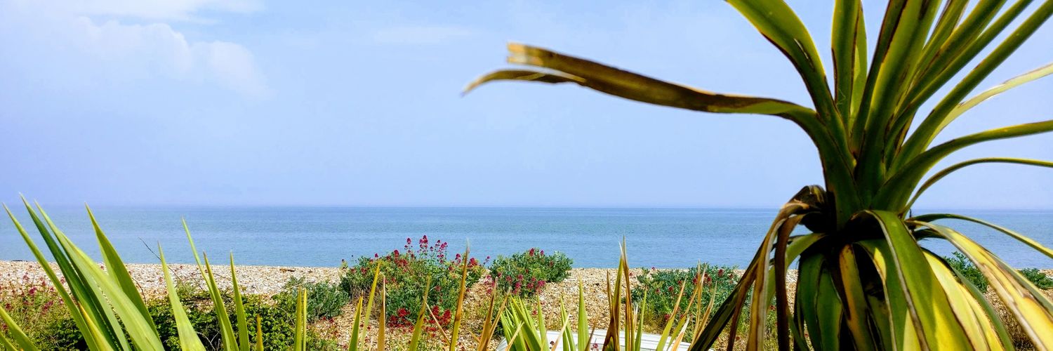 bollyale's profile banner image
