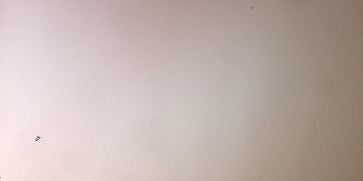 BeerTerb's profile banner image