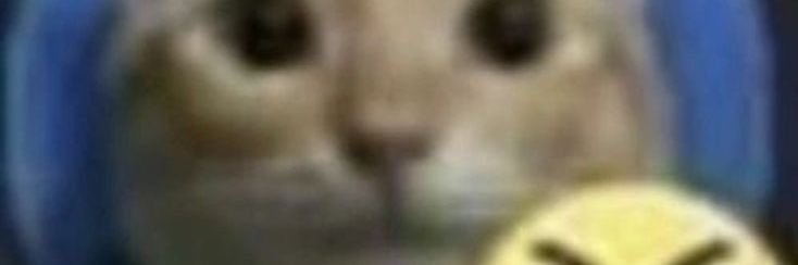 6m7ppoo's profile banner image