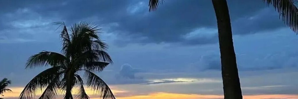 KaylaWongmbht's profile banner image