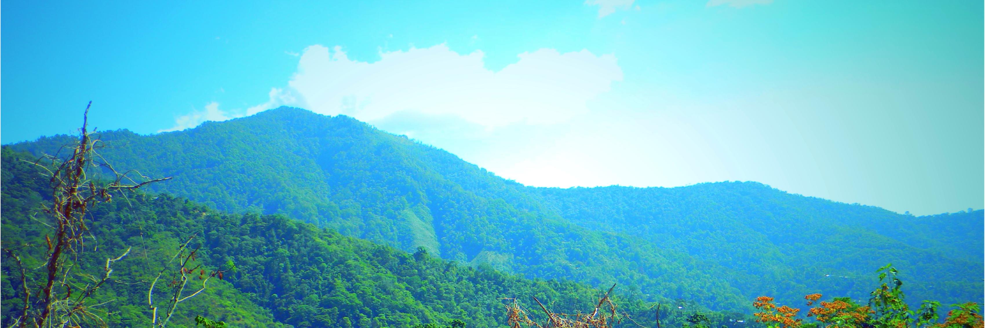 CafeCafeOax's profile banner image