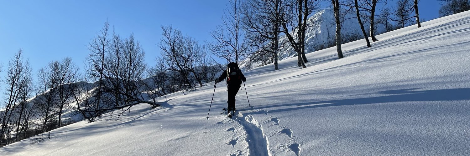 Anders Enetjärn banner