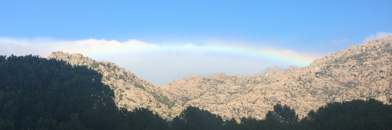 ainojer's profile banner image