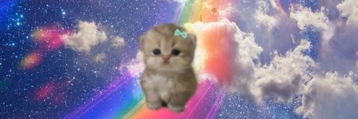 Allaboutmeaw's profile banner image