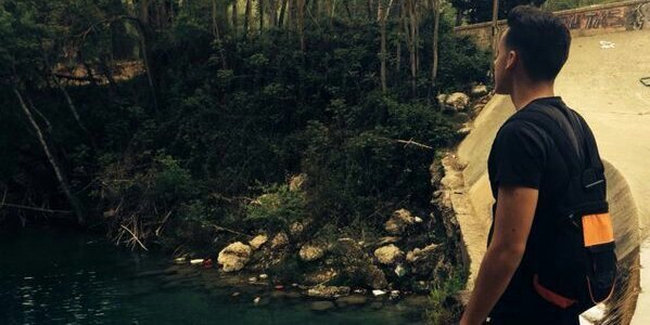 dccdani's profile banner image