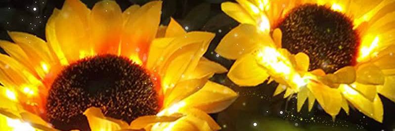 Simply_Ceeee's profile banner image