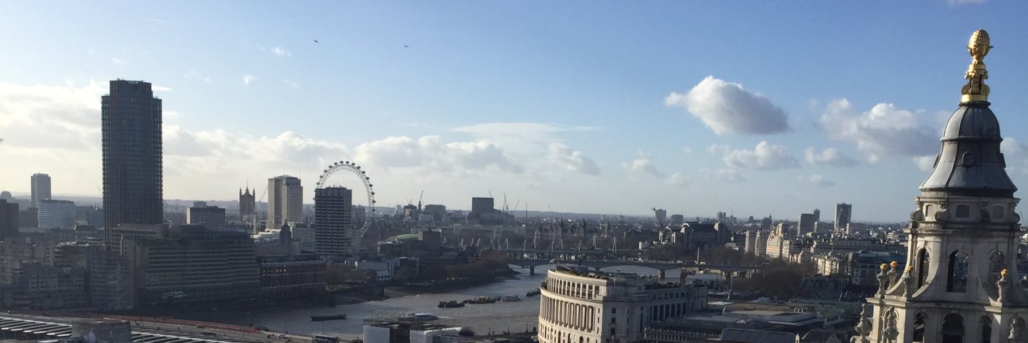 Laura Webster banner