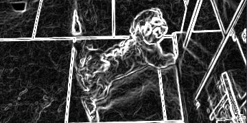 kleber_pardal's profile banner image