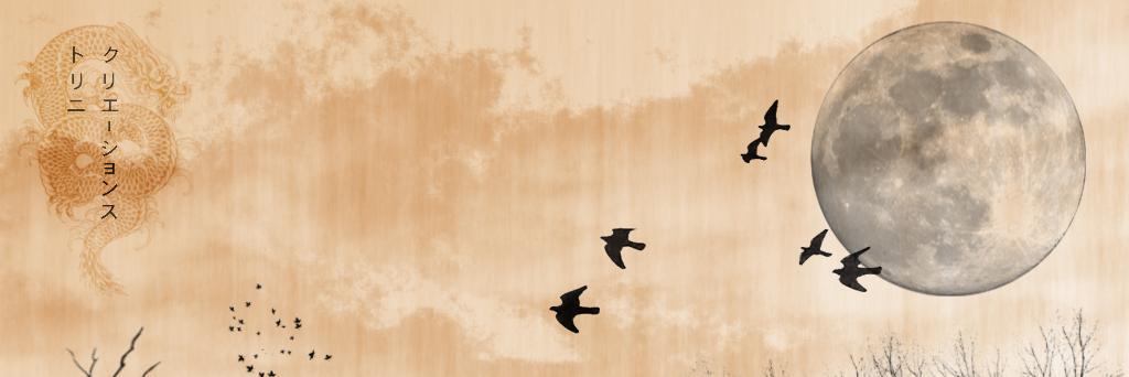welison_aoki's profile banner image