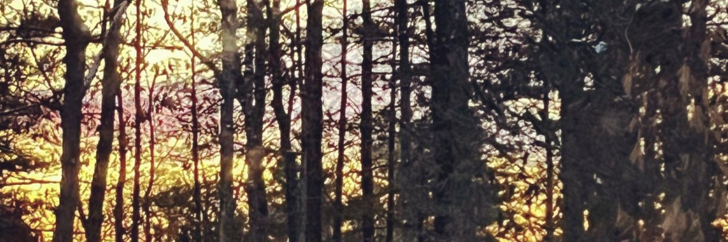 Emily Deans MD banner