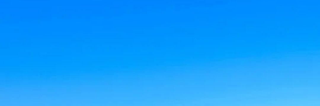 wilderchloee's profile banner image