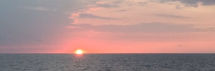 KellynMiller2's profile banner image