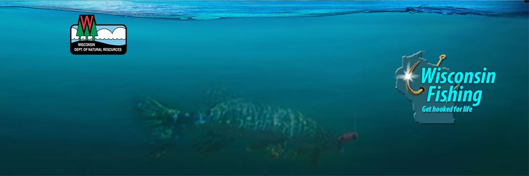 DNR Fisheries (@fishwisconsin) / Posts / X