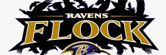 Ravensflok's profile banner image