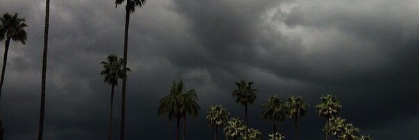 Тимонин banner