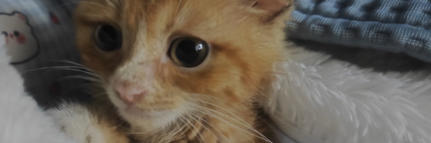 joedontwin's profile banner image