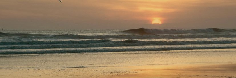 Donna Sharland banner