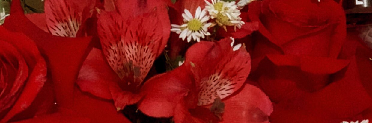 _fserpa's profile banner image