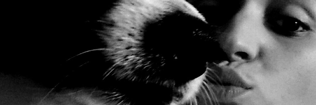 Sylviaa_2's profile banner image