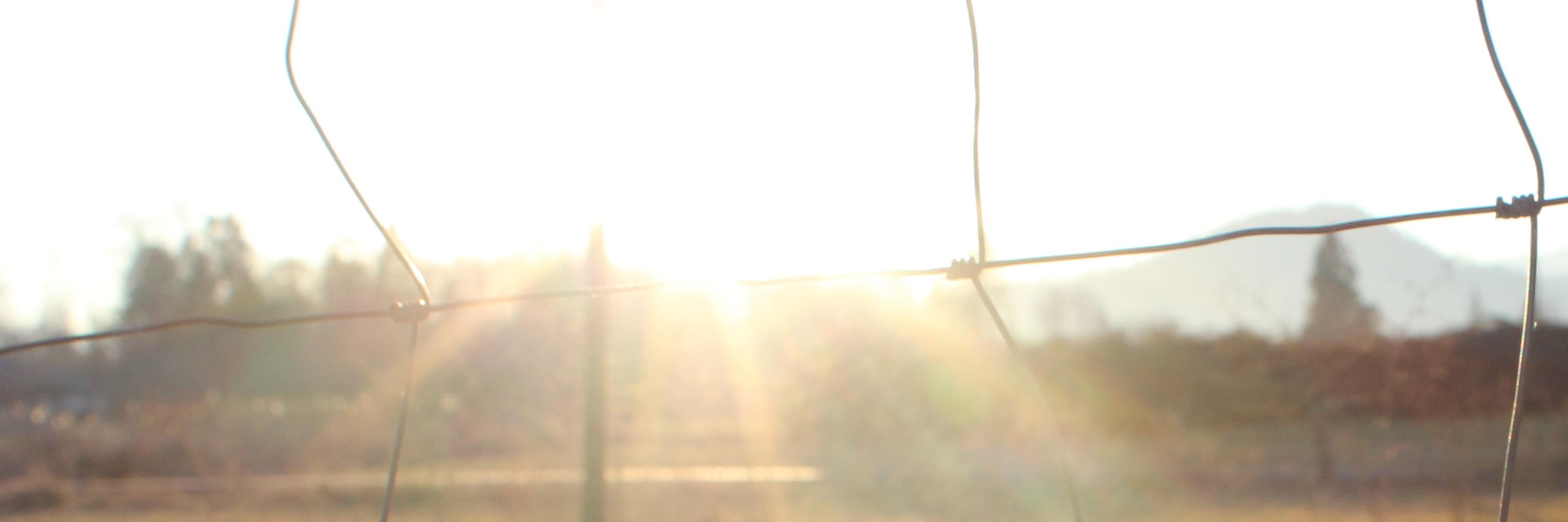 bcbubblebash's profile banner image