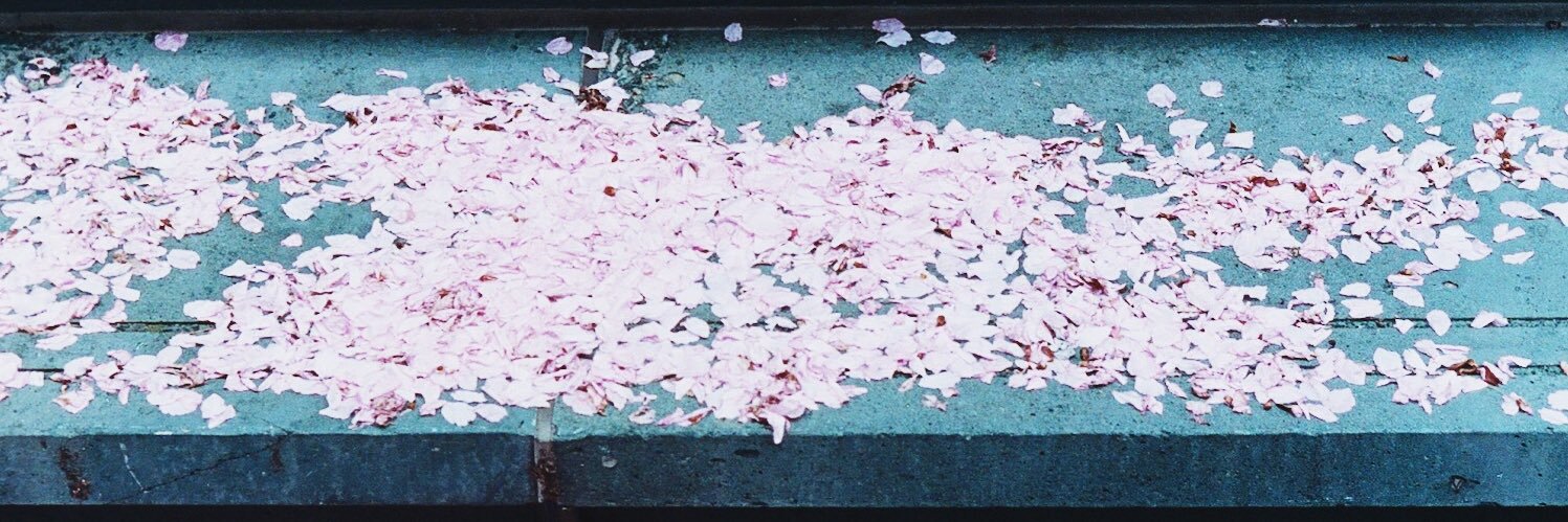 Killian banner