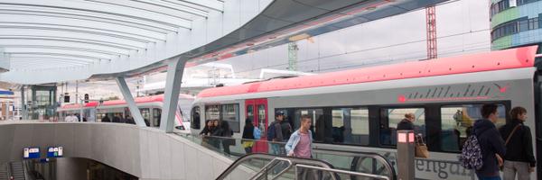 schotanus Profile Banner