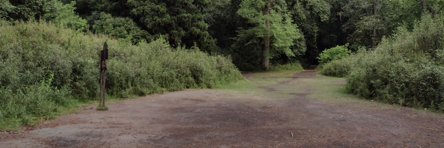 Bancatela's profile banner image