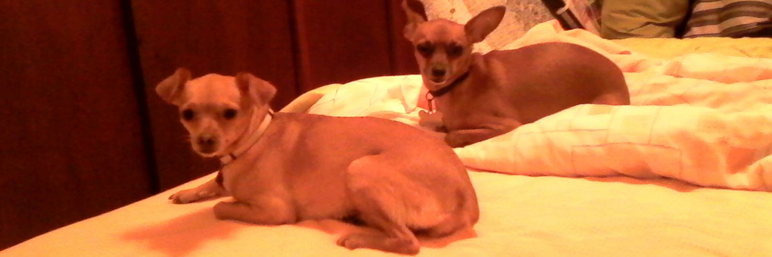 Maryc1230's profile banner image