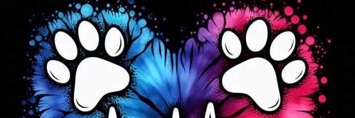 Preshltv's profile banner image