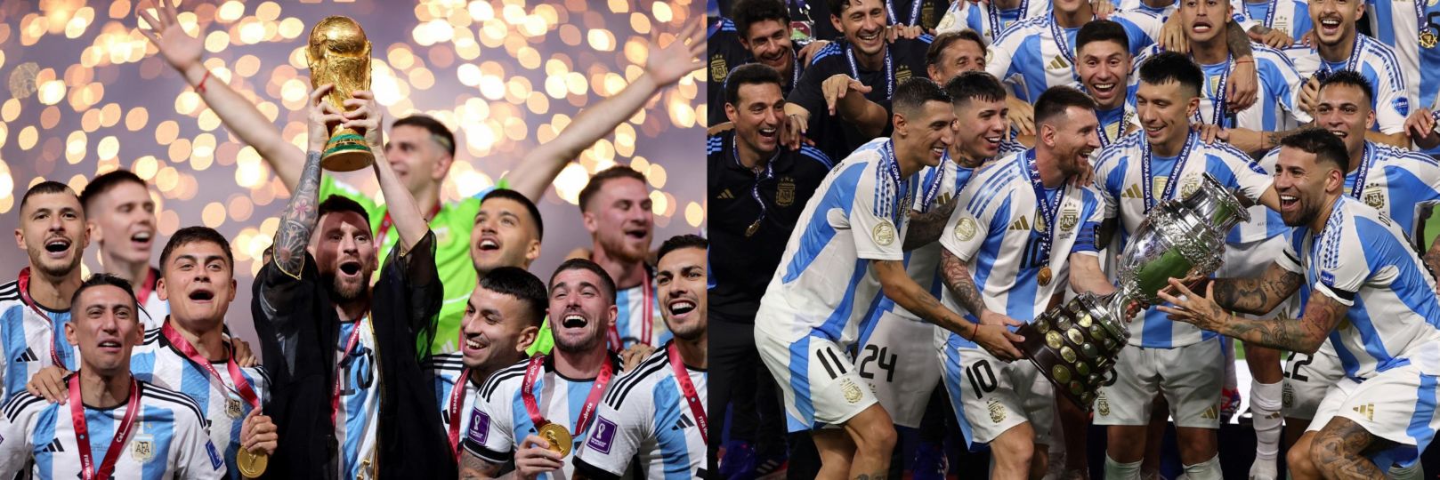 Graciela Cicciari 🇦🇷🍊 banner