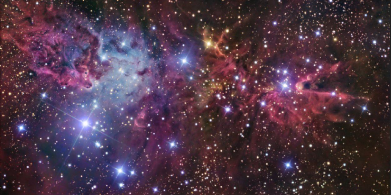 nicolegulas's profile banner image