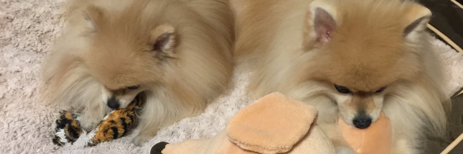 akixcoco's profile banner image