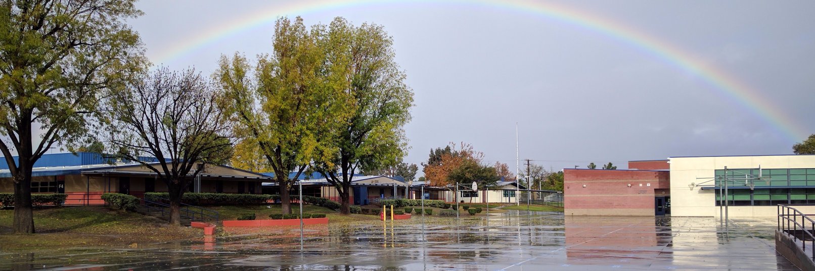 El Cerrito CNUSD banner