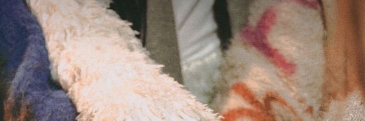 7lvfbs's profile banner image
