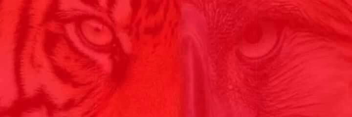 Mahalima Is My Rest (@mabskies) / Posts / X