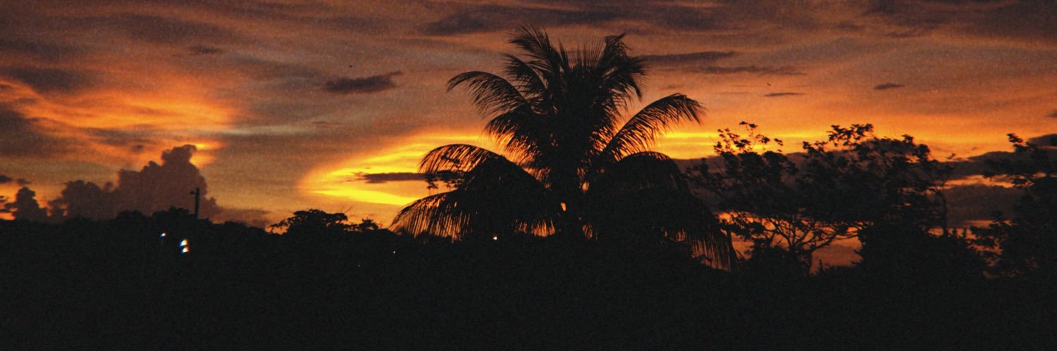 cdenissev's profile banner image