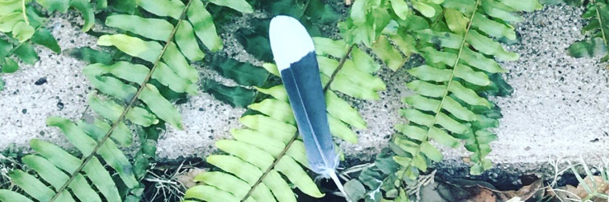ddmoon's profile banner image