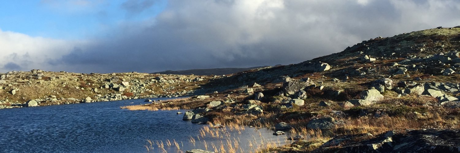 AnetteHansen's profile banner image