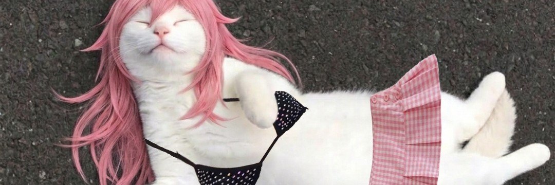 astridbloomm's profile banner image