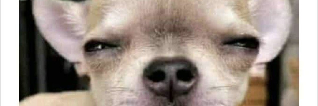 NoDNAjRsa's profile banner image