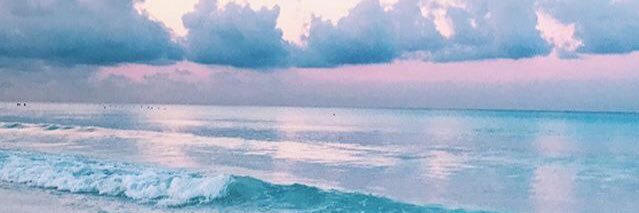 ashleewolf_'s profile banner image