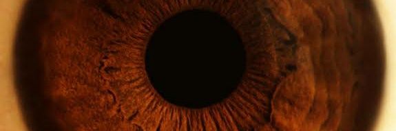 clariscsia's profile banner image