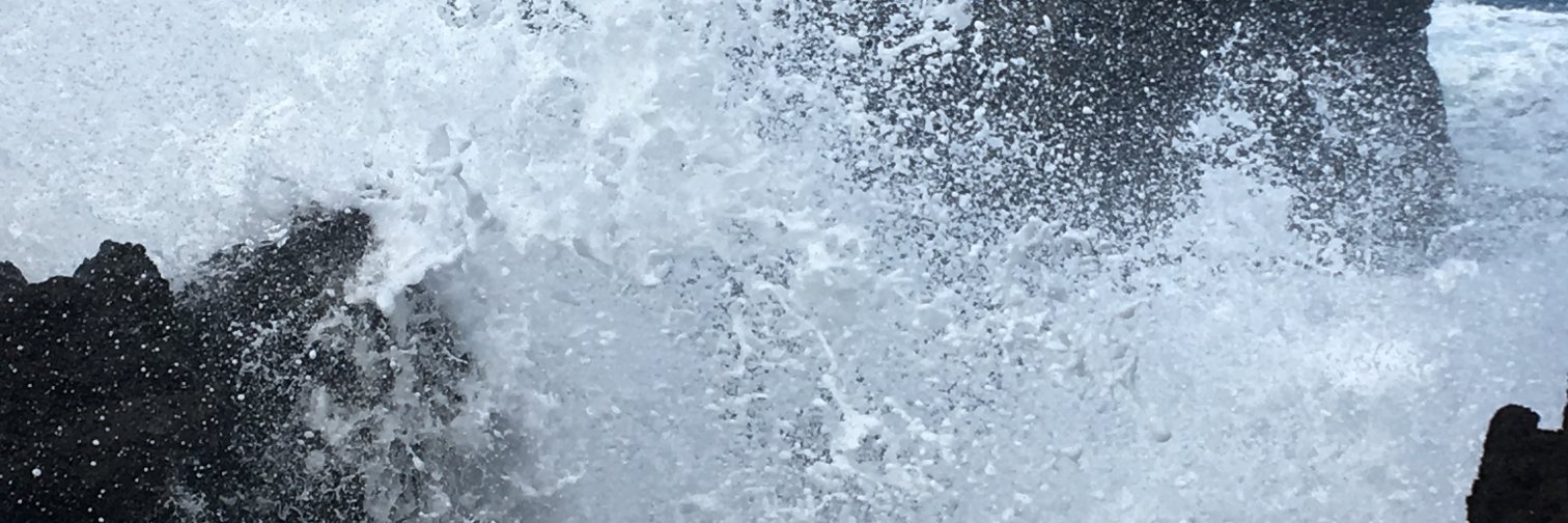 NickEcono's profile banner image