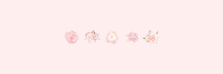 heartlunaaa's profile banner image