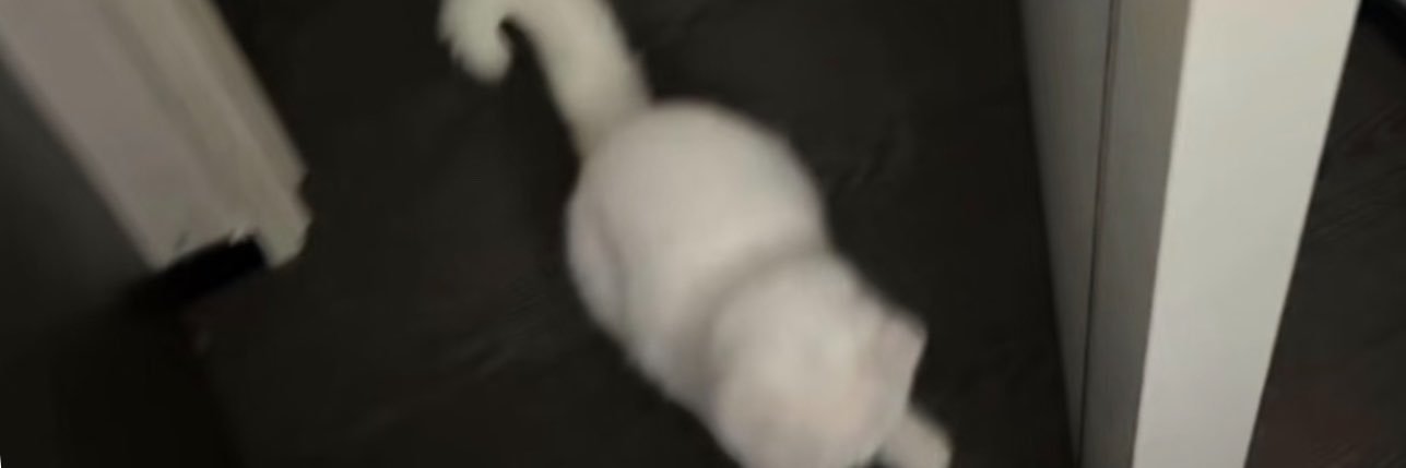 eookiyo's profile banner image