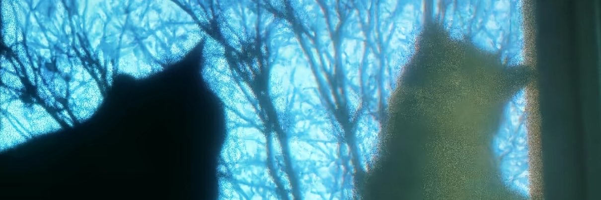 starrrqaq's profile banner image